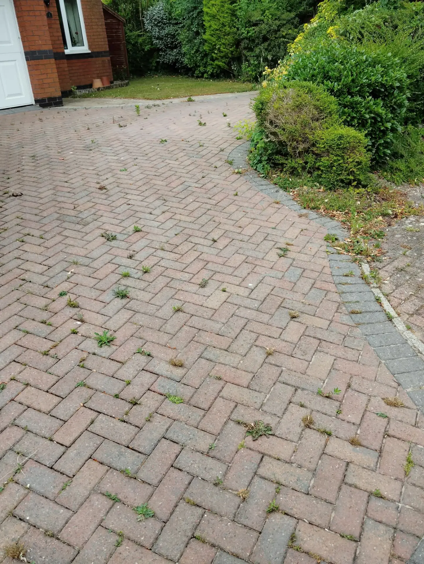 Block paved driveway before cleaning, with weeds and moss growing through the joints