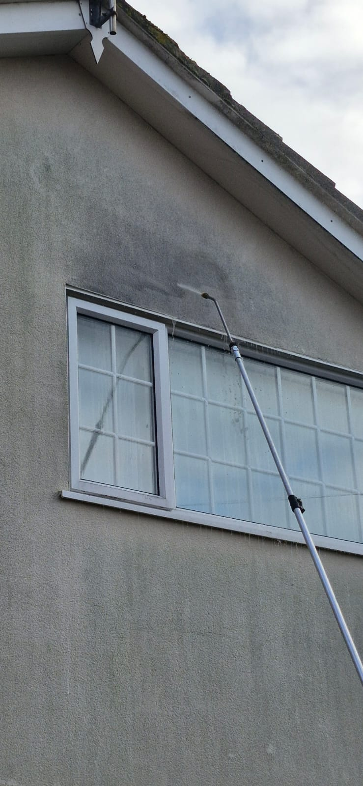 Close view of algae-stained render being soft washed with a telescopic lance