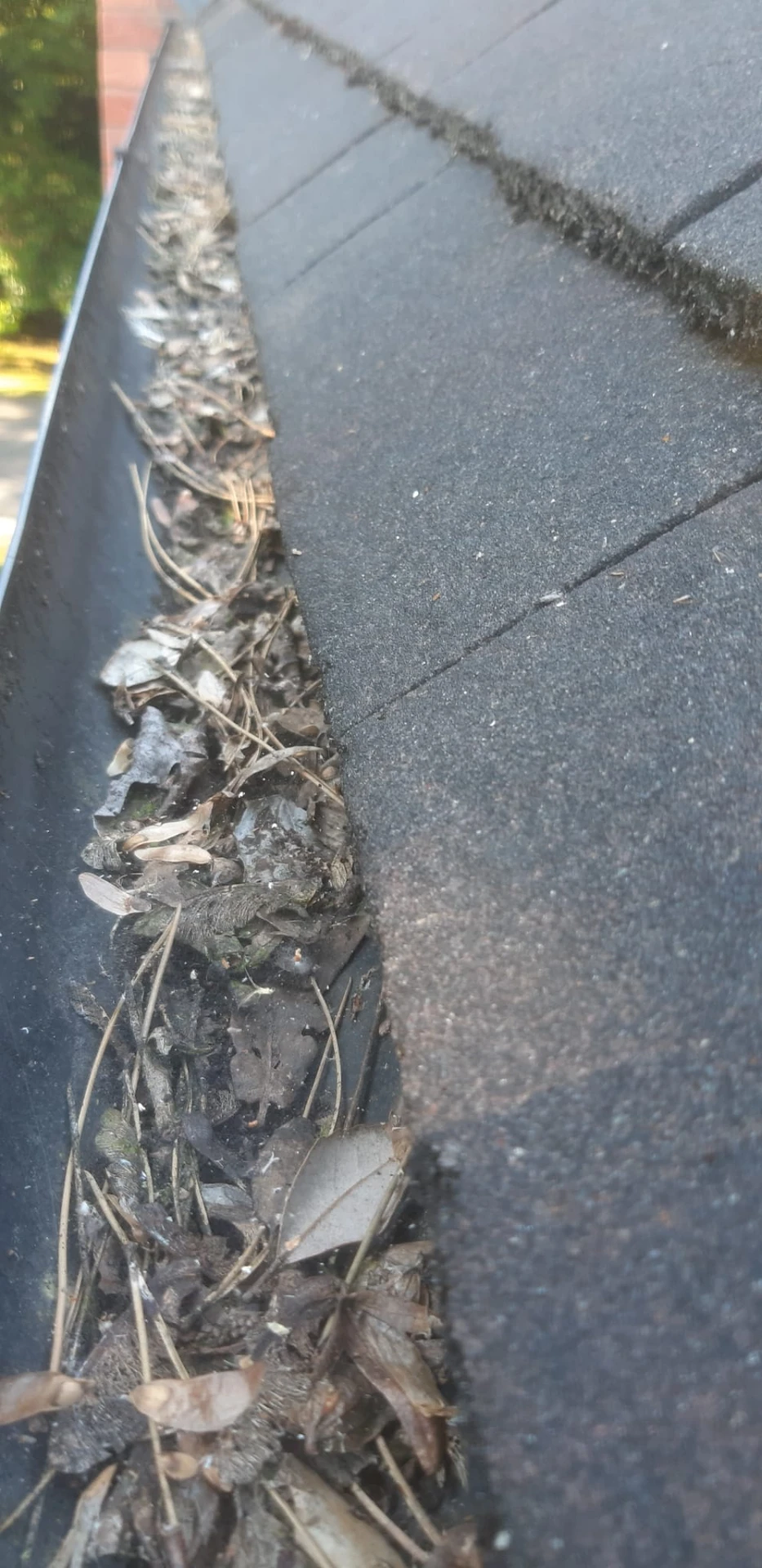 Blocked gutter packed with leaves, silt and debris before clearing