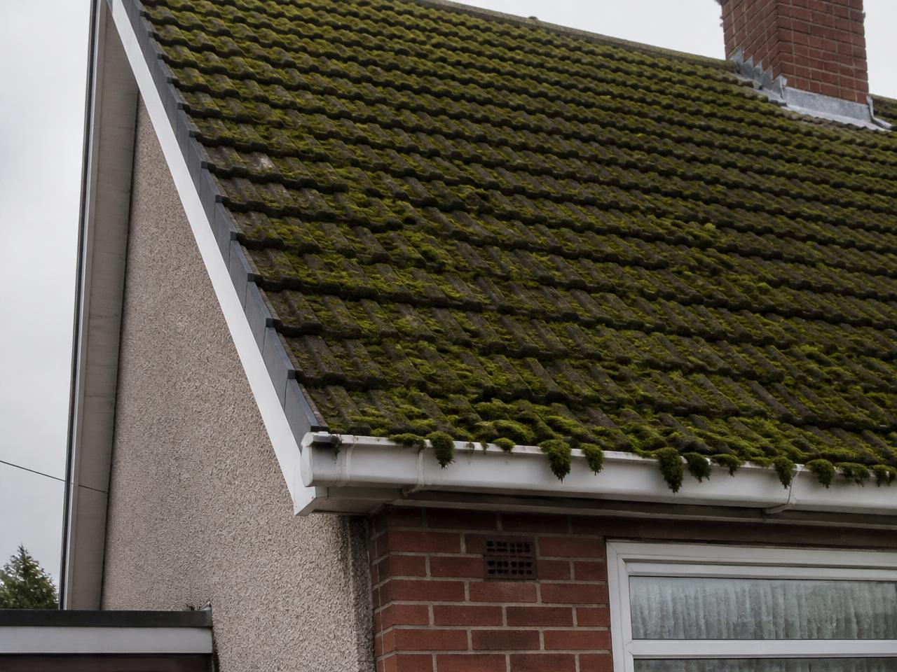 Tiled roof moss removal · Blackpool before restoration