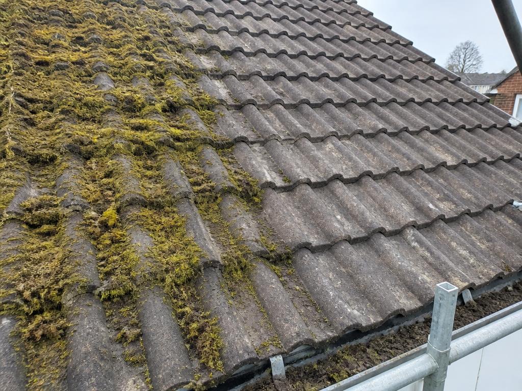 Roof Cleaning